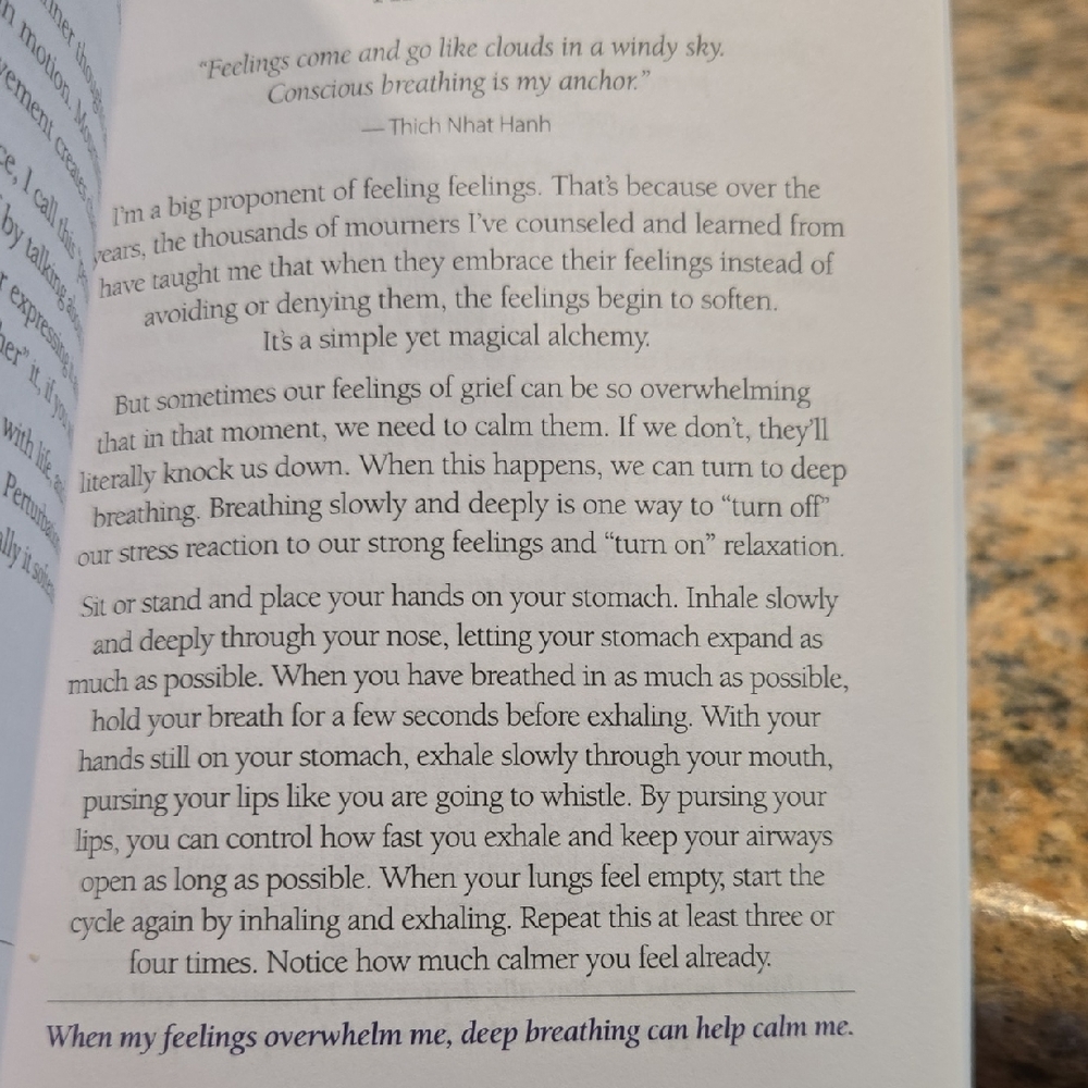 Grief One Day at a Time Book - Picture 4 of 4